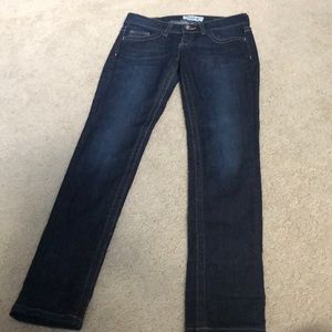 Daytrip Lynx Skinny Jeans